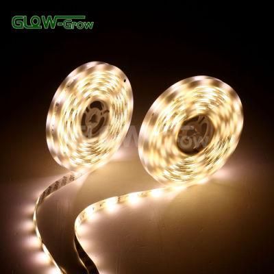 IP44 12V/24V Rgbcct LED Strip Light for Kitchen House Bookshelf Decoration