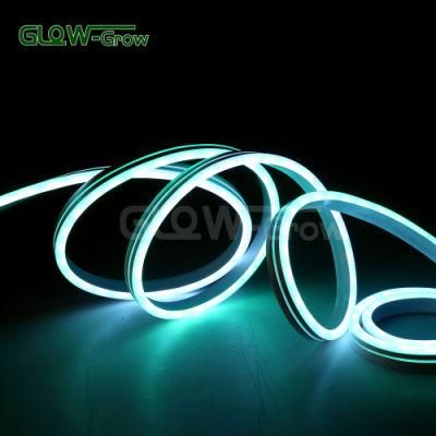 Wholesale IP65 Waterproof RGB LED Dream Neon Flex Light with Vivid Color Modes