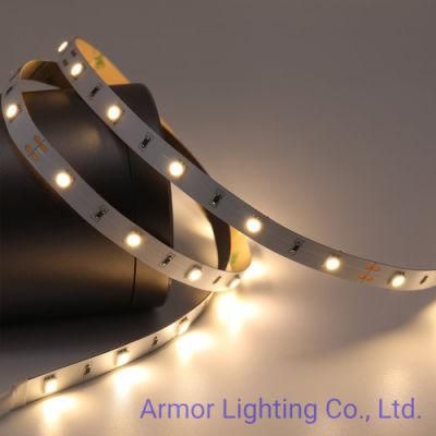 Manufactor Direct Sell SMD LED Strip Light 5050 30LEDs/M DC24V for Home/Office/Building