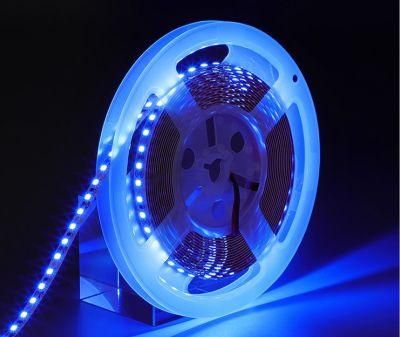 Bare Plate Process 2835 LED Strip Light Tapes