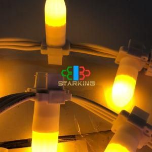 High Quality Red/Blue/White/Warm White/Pink LED String COB Light IP65 Outdoor Decoration