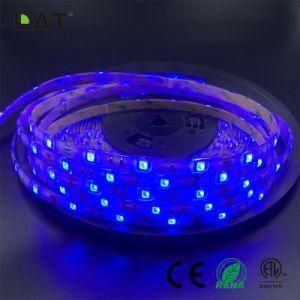 High Brightness DC24V IP20 IP65 SMD5050 RGB 10m 120LEDs Ce ETL UL Flexible LED Strip Tape