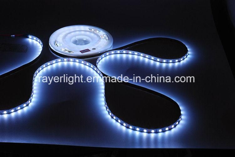 LED Strip Light LED Landscape Lighting Decoration LED Rope Decorative Lights