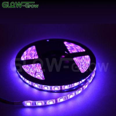 5m 30LEDs/M 12V 3.6W/M Waterproof SMD Flexible RGB LED Strip for Christmas Bar Home Wedding Party Decoration