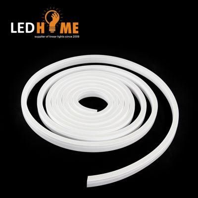 Ap302 Neno Flex Rope Lights LED Flexible Neon Strip Light for Decoration