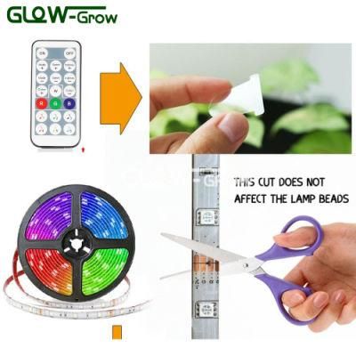 12V/24V Flexible RGB LED Light Strip Action for Room Decoratiom