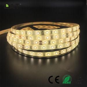 High Brightness DC24V IP20 IP65 SMD2835 Cw Ww 10m 60LEDs Flexible LED Strip Tape Ce ETL UL