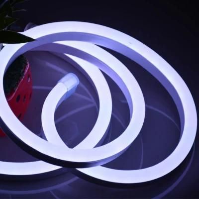 Outdoor SMD 2835 R/G/B/Y/W Christmas Decoration LED Neon Flex Light