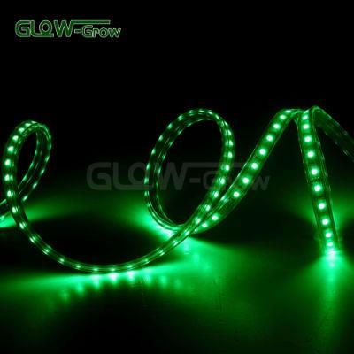 IP65 Waterproof Ultra Bright LED RGB 5050 Strip Light for Bar Decoration