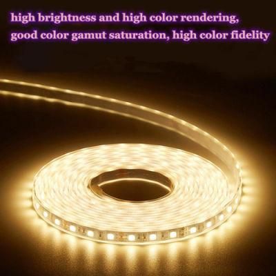 CRI&gt;95 Full Spectrum LED Strip for Clothing Store
