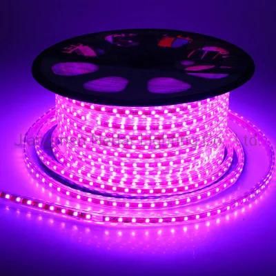 220V/230V SMD5050 60LED Flexible LED Strip