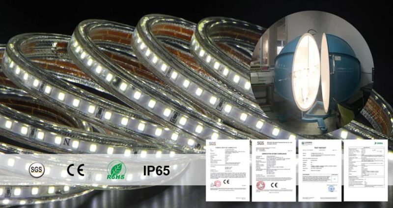 Ce Rope Light Outdoor Application Waterproof IP65