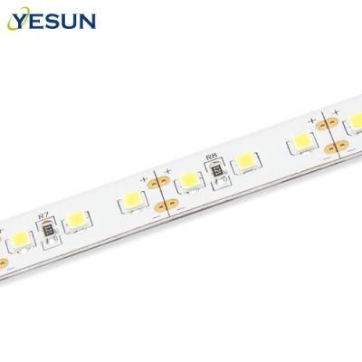 Indoor LED Strip Light SMD2835 120LED/M 14.4W/M 12V/24VDC Flexible LED Strip Light