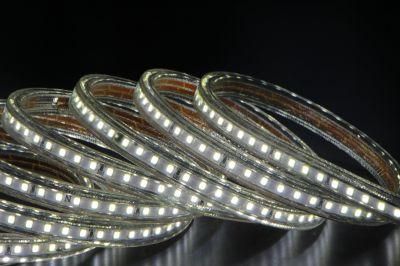 Flexible LED Strip Light LED Rope Light 50 Meters Roll with Ce RoHS Certified Waterproof IP65