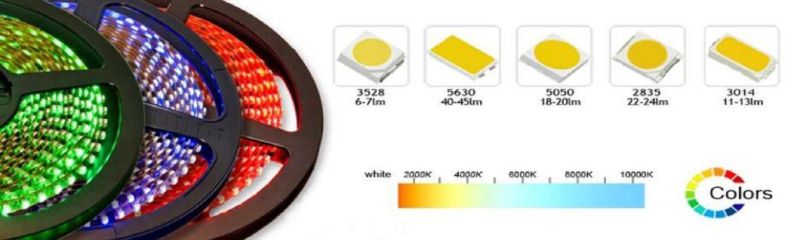 TUV Ce Listed 2-in-1 3528SMD Chip Dual White LED Strip
