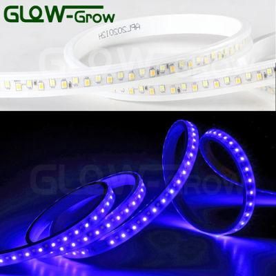 IP65 SMD 2835 LED Lights Flexible Strip Light with CE Approval