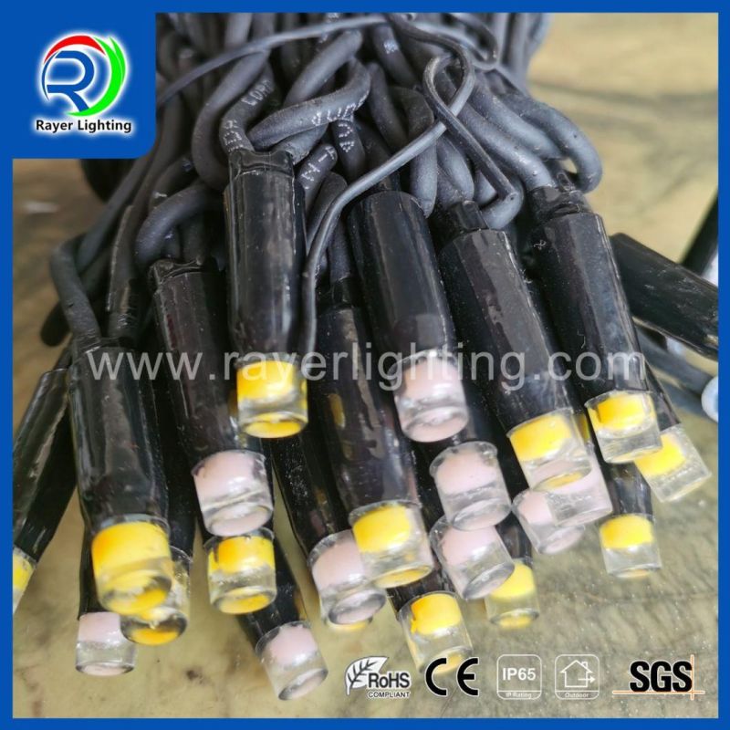 LED Extendable Lighting Chain LED Commercial String Light LED Deccorative String Lights