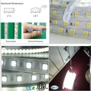 6000K Cool White LED Strip Light Rope 5050 Outdoor Lighting