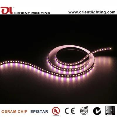 UL Ce High CRI SMD 5060+5050 RGB+W Flexible Strip Light