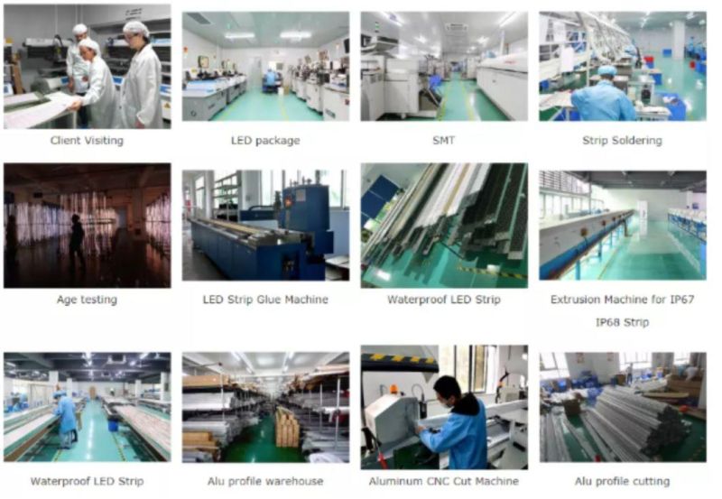Ap1010f Milk White Top View LED Neon Flex Light Silicon Tube for 120LEDs/M Strip with Ce & RoHS Certification