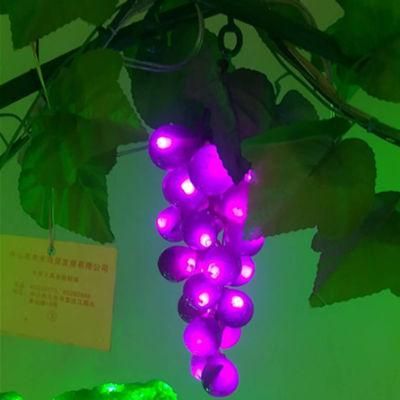 2018 Beautiful Style Grape Light String and Decorative Light