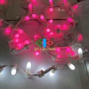 Starking Factory Supplier LED String COB Light IP65 Outdoor Decoration 6m60LEDs