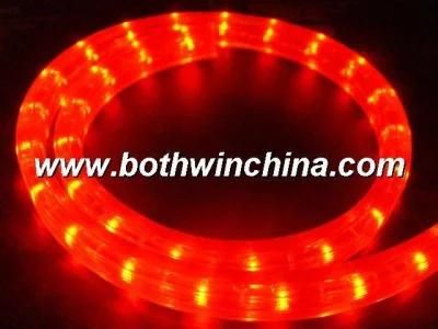 2 Wire LED Rope Light (S2W)