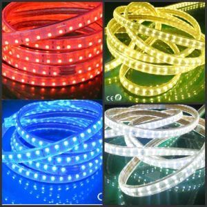 120LEDs 220V 110V 227V RGB LED Strip Lighting/DIP LED Strip