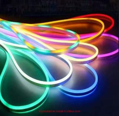 Magic DMX512 Series 60 LEDs/M Programmable Neon Flex Strip