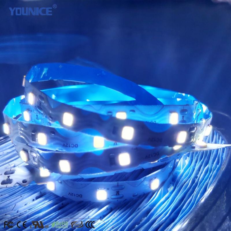 Welding Free Zag Zig Lamp S-Type LED Light Strip