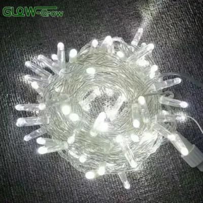 Holiday Use IP65 Waterproof LED Wedding Light with Flash Bulb 4+1