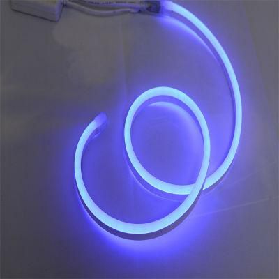 FCC Certificate Passed 2835 RGB LED Neon Christmas Light