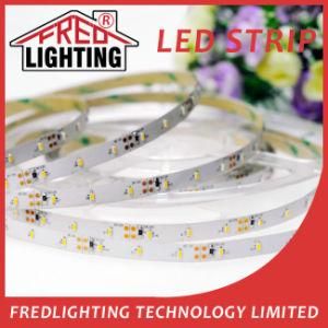 IP20 Non Waterproof Pure White LED Strip Light SMD3014 300LEDs LED Rope Light