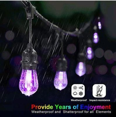 Decoration Color String Lights LED String Bulb