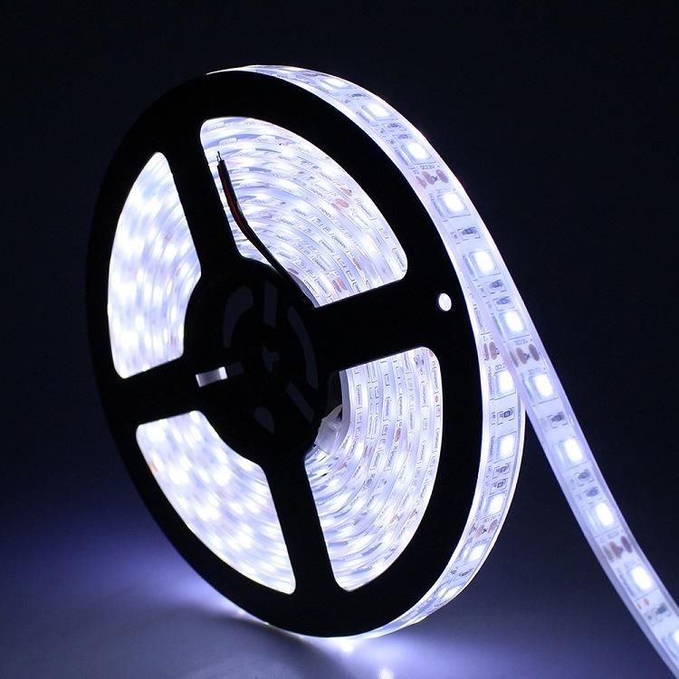 3years Warranty DC24V/DC12V 60LEDs/M 5meters One Roll High CRI 85 High Density 5050 LED Strip Light