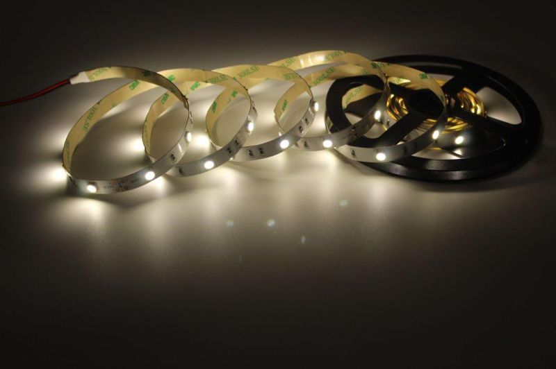 SMD5050 White Color IP65 Waterproof LED Rope Light for Bedroom Furniture LED Strips