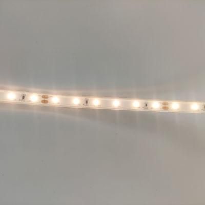 LED Strip Light for Ceiling Lighting