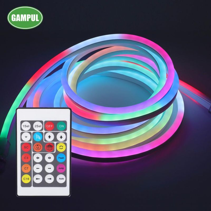 China Manufacturer LED Neon Christmas Decoration LED Strip Neon Light