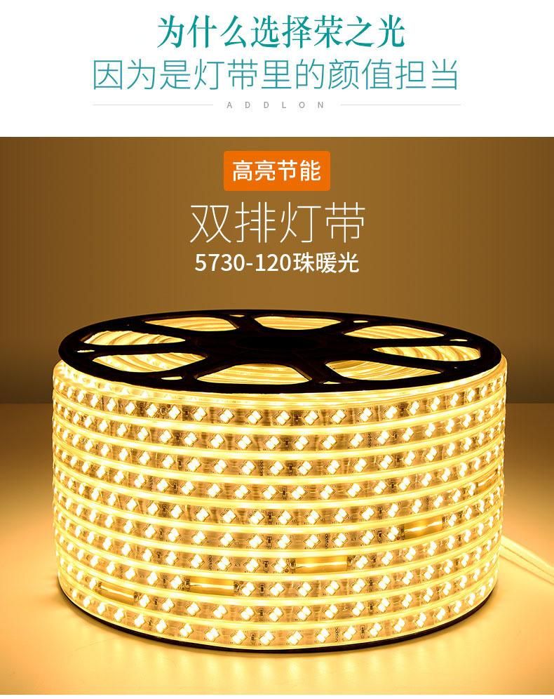 IP67 LED Strip 220V 5630/5730 120LED/M Waterproof Flexible Strip