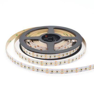 5years Warranty LED Strip Light SMD2216 240LEDs/M