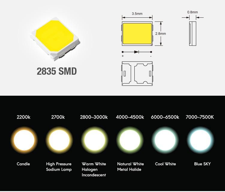 LED Light Strips Ra80 SMD2835 128LED DC24V 3000K with CE/RoHS Certificate