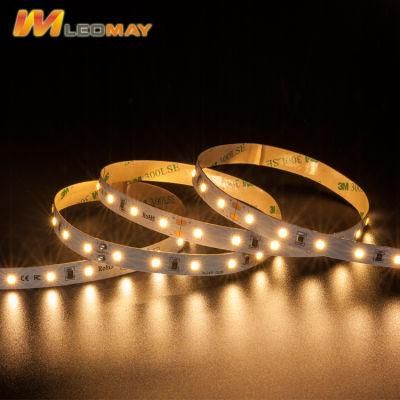 IP67 Wardrobe/Wedding/Exhibition 3528 12/24V flexible LED strip light