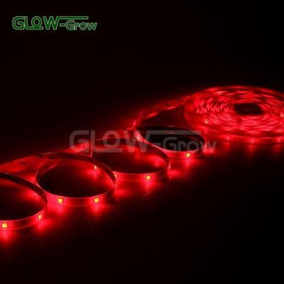 IP44 5W/M Wall Use LED RGBW Flexible Strip Light (10*2.8mm)