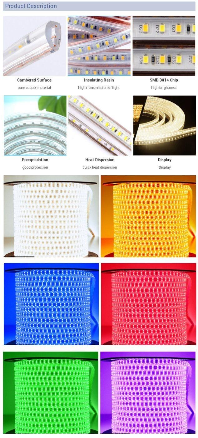 Waterproof Optional SMD 5050 2835 RGB Flexible LED Strip for Indoor Outdoor