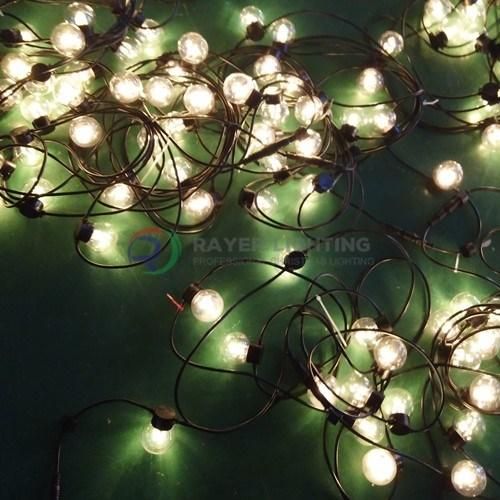 LED Outdoor Decorative Light LED Garden Light LED Waterproof Ball Light LED Twinkle Light