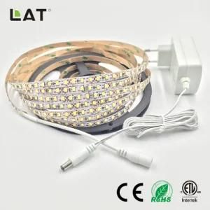 High Brightness DC12V 24V IP20 IP65 SMD2835 Cw 5m 120LEDs Flexible LED Strip Tape Ce ETL UL