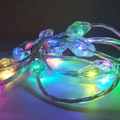Waterproof 24V RGB Curtain Light with Controller for Ramadan Decoration