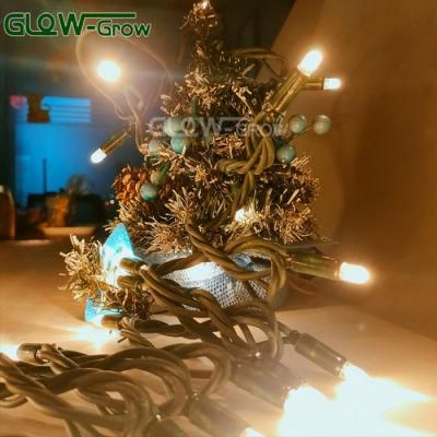 100 LED String Lights Indoor Outdoor Warm White Christmas Fairy Light for Tree Hoom Bedroom Patio Holiday Festival Decoration