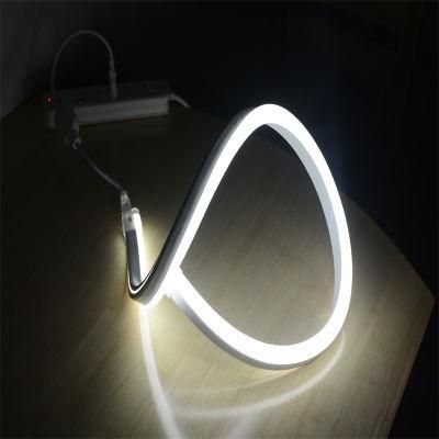 Shenzhen CRI80 Indoor Outdoor Using Super Bright LED Neon 25*13mm