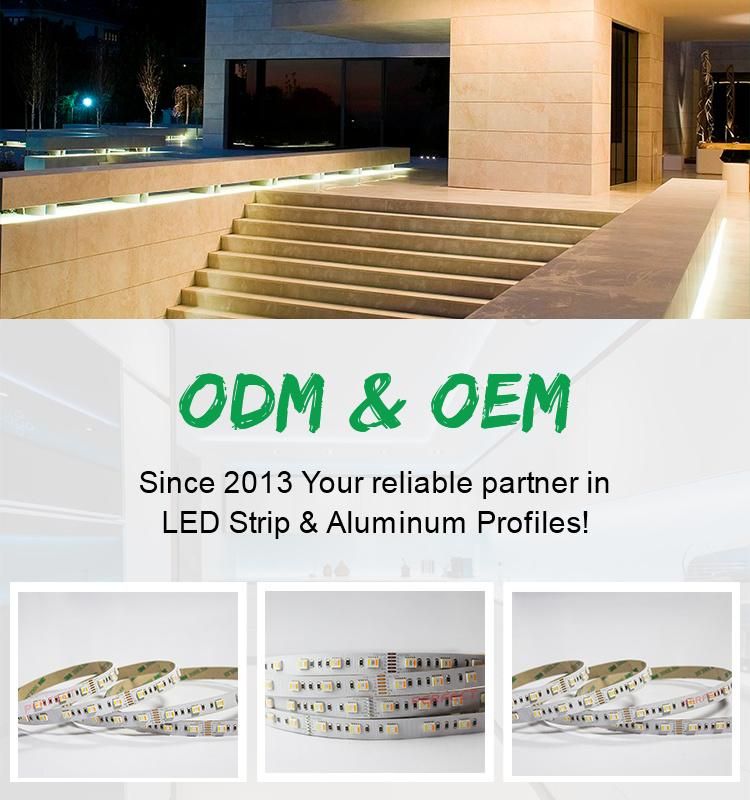 SMD5050 60LEDs RGB+CCT LED Flexible LED Strip